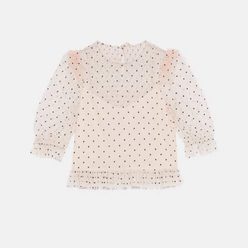 Zara Polka Dot Ruffle Tulle Top